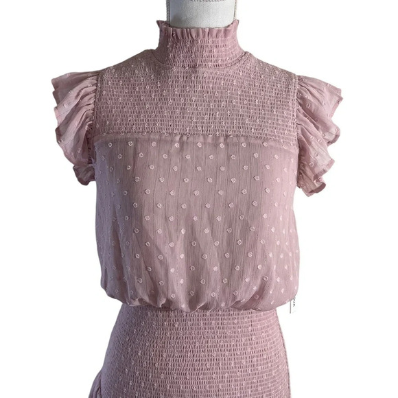 Aqua NEW Pink Swiss Dot High Neck Dress Size Small Short Sleeves Seersucker - Picture 4 of 13